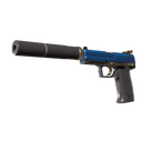 USP-S | Royal Guard (Minimal Wear)