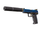 USP-S | Royal Guard (Factory New)