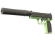 USP-S | Para Green (Factory New)