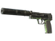 USP-S | Para Green (Battle-Scarred)