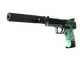 StatTrak™ USP-S | PC-GRN (Battle-Scarred)