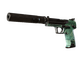 USP-S | PC-GRN (Battle-Scarred)