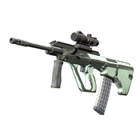 Souvenir AUG | Storm (Battle-Scarred)