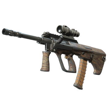 Souvenir AUG | Spalted Wood (Well-Worn)