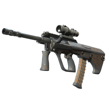 Souvenir AUG | Spalted Wood (Battle-Scarred)