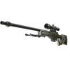 AWP | Worm God (Well-Worn)