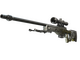 AWP | Worm God (Field-Tested)