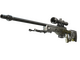 AWP | Worm God (Minimal Wear)