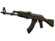 AK-47 | Uncharted (Well-Worn)