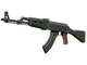 AK-47 | First Class (Well-Worn)