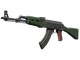 AK-47 | First Class skin
