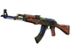 StatTrak™ AK-47 | Case Hardened (Well-Worn)