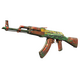 StatTrak™ AK-47 | The Outsiders (Battle-Scarred)