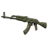 AK-47 | Jungle Spray (Well-Worn)
