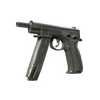CZ75-Auto | Midnight Palm (Battle-Scarred)