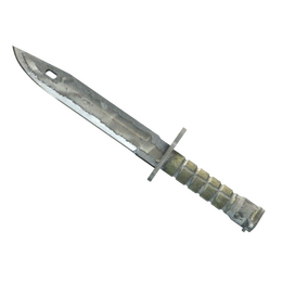 ★ Bayonet | Urban Masked (Battle-Scarred)