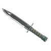 ★ Bayonet | Night (Battle-Scarred)