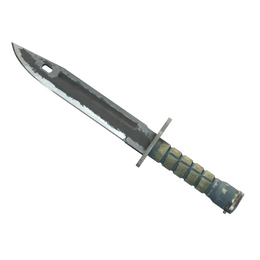 ★ Bayonet | Night (Battle-Scarred)