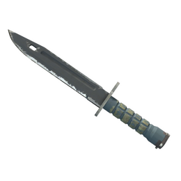 ★ Bayonet | Night (Field-Tested)