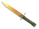 ★ Bayonet | Lore (Field-Tested)