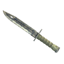 ★ Bayonet | Stained (Battle-Scarred)