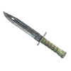 ★ Bayonet | Stained (Well-Worn)