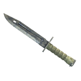 ★ Bayonet | Stained (Well-Worn)