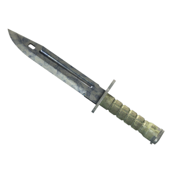 ★ StatTrak™ Bayonet | Stained (Well-Worn)