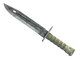 ★ StatTrak™ Bayonet | Stained (Field-Tested)