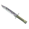 ★ Bayonet | Freehand (Battle-Scarred)