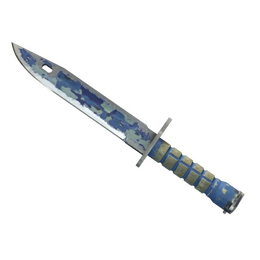 ★ Bayonet | Bright Water (Battle-Scarred)