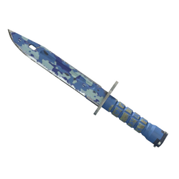 ★ Bayonet | Bright Water (Field-Tested)