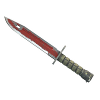 ★ StatTrak™ Bayonet | Crimson Web (Battle-Scarred)