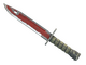 ★ Bayonet | Crimson Web (Battle-Scarred)