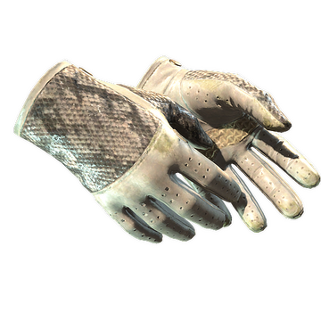 ★ Driver Gloves | King Snake (Field-Tested)