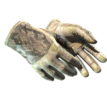 ★ Driver Gloves | King Snake (Battle-Scarred)