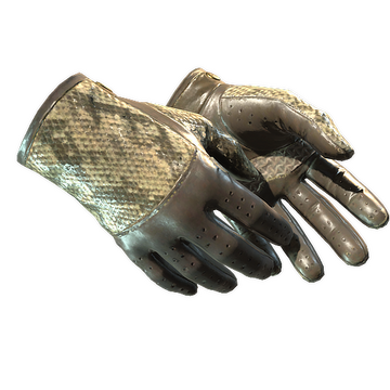 ★ Driver Gloves | Diamondback (Well-Worn)