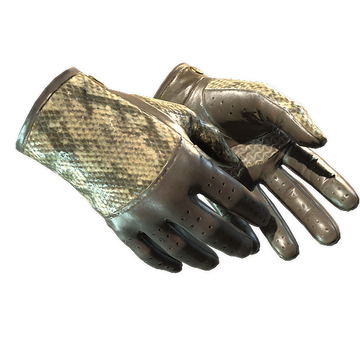 ★ Driver Gloves | Diamondback (Minimal Wear)