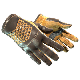 ★ Driver Gloves | Overtake (Field-Tested)