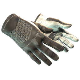 ★ Driver Gloves | Black Tie (Field-Tested)