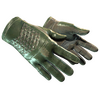 ★ Driver Gloves | Racing Green (Well-Worn)