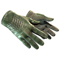 ★ Driver Gloves | Racing Green (Battle-Scarred)