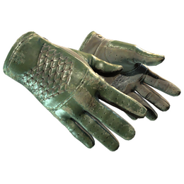 ★ Driver Gloves | Racing Green (Battle-Scarred)