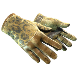 ★ Driver Gloves | Queen Jaguar (Battle-Scarred)