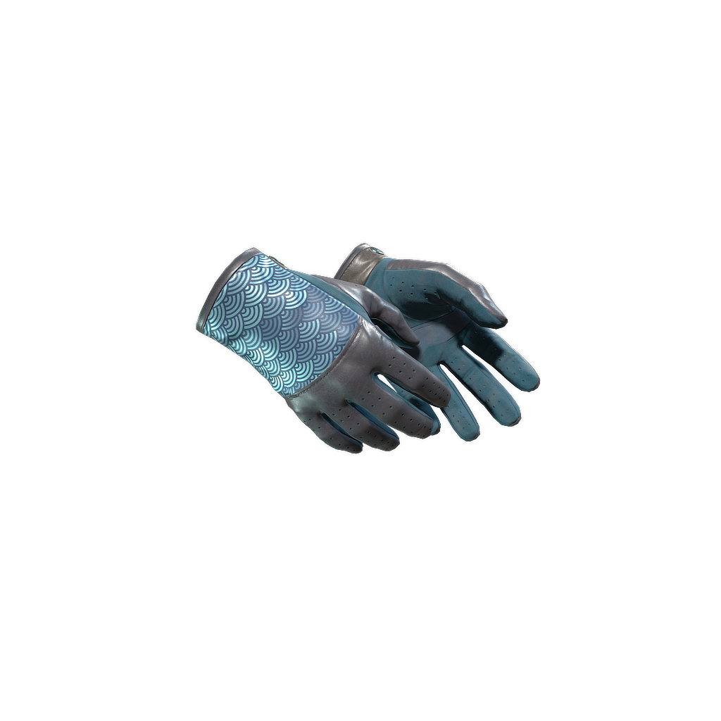 CS2 Driver Gloves | Seigaiha skin