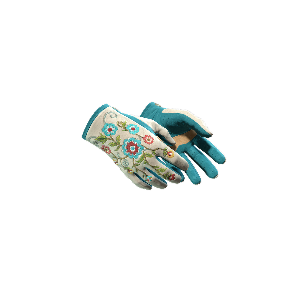 CS2 Driver Gloves | Garden skin