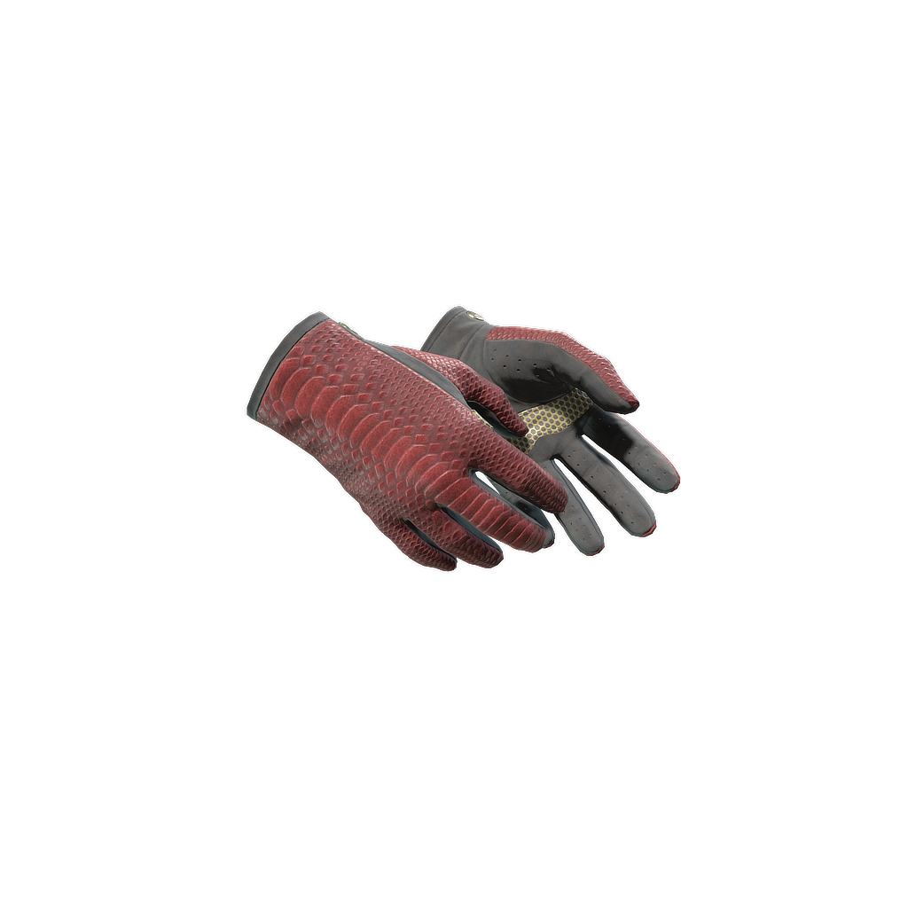 CS2 Driver Gloves | Dragon Fists skin