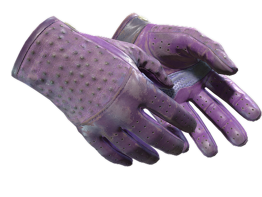 ★ Driver Gloves | Plum Quill