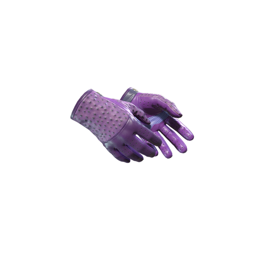 CS2 Driver Gloves | Plum Quill skin