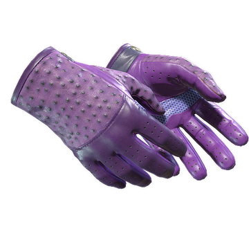 ★ Driver Gloves | Plum Quill (Minimal Wear)